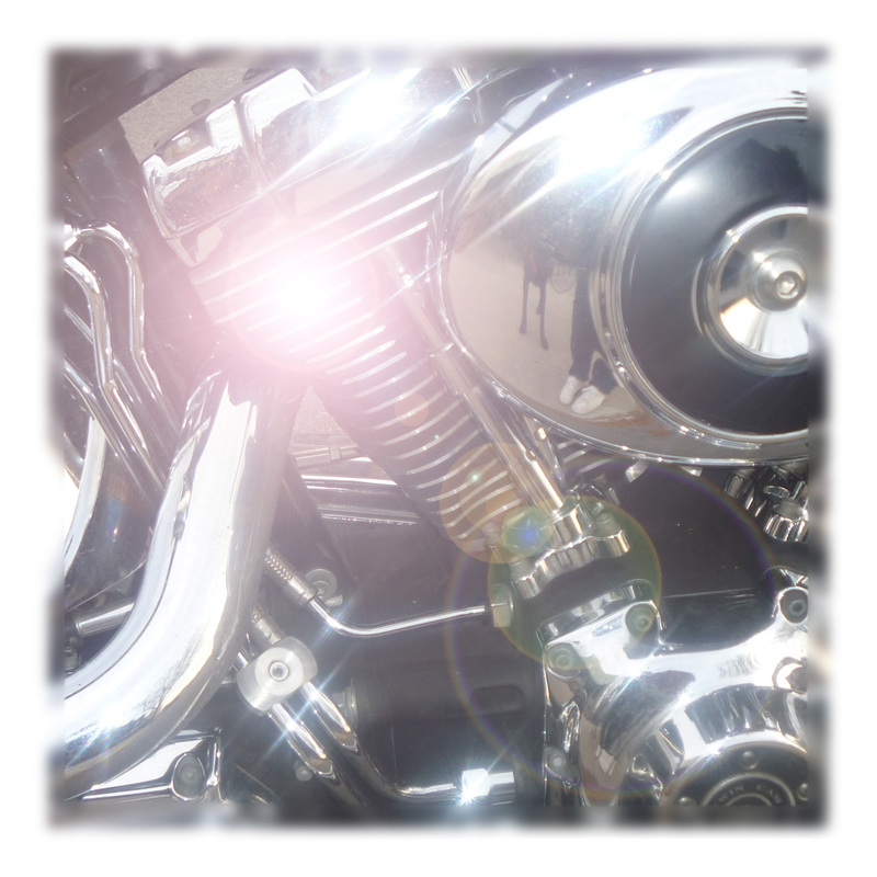 Kate Steciw LLL tile1