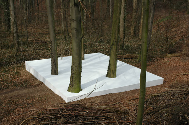 Rave Nature Maarten Vanden Eynde