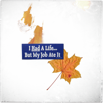 Img png Aaron Graham tumblr m5devsLAOP1rxebvdo1 500