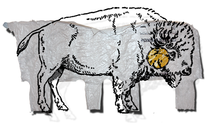 Tumblr m52dmtV4Ik1rxebvdo1 1280