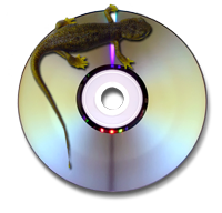 Tumblr mfs6q9rHcW1rxebvdo1 250